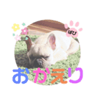 フレバビスタンプU´•ﻌ•`U（個別スタンプ：8）
