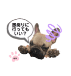 フレバビスタンプU´•ﻌ•`U（個別スタンプ：9）