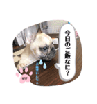 フレバビスタンプU´•ﻌ•`U（個別スタンプ：10）