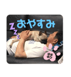 フレバビスタンプU´•ﻌ•`U（個別スタンプ：11）