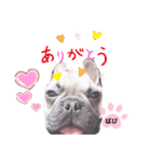 フレバビスタンプU´•ﻌ•`U（個別スタンプ：14）