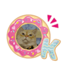 たいちゃんいつきひーちゃん（個別スタンプ：3）