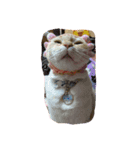 たいちゃんいつきひーちゃん（個別スタンプ：4）