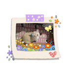 たいちゃんいつきひーちゃん（個別スタンプ：5）