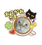 たいちゃんいつきひーちゃん（個別スタンプ：6）