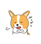 コーギーのんびり物語（個別スタンプ：10）