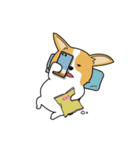 コーギーのんびり物語（個別スタンプ：17）