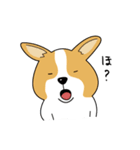 コーギーのんびり物語（個別スタンプ：25）