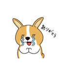 コーギーのんびり物語（個別スタンプ：26）