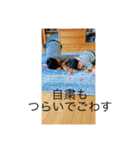 凜ちゃんスタンプ第7弾（個別スタンプ：7）