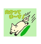コメちゃんとスタンプ（個別スタンプ：17）