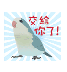 ｛マギー｝幸せなモンクパラキート（個別スタンプ：4）