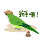 ｛マギー｝幸せなモンクパラキート（個別スタンプ：5）
