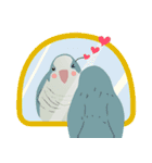 ｛マギー｝幸せなモンクパラキート（個別スタンプ：6）