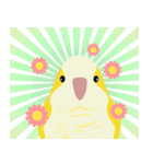 ｛マギー｝幸せなモンクパラキート（個別スタンプ：8）