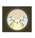 ｛マギー｝幸せなモンクパラキート（個別スタンプ：12）