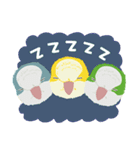 ｛マギー｝幸せなモンクパラキート（個別スタンプ：20）