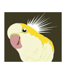 ｛マギー｝幸せなモンクパラキート（個別スタンプ：22）