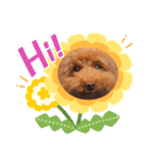 クー太の日常（個別スタンプ：7）