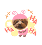 クー太の日常（個別スタンプ：8）