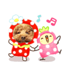 クー太の日常（個別スタンプ：11）