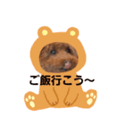 クー太の日常（個別スタンプ：12）