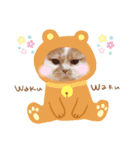 animal stamp ♡（個別スタンプ：1）