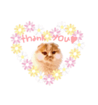 animal stamp ♡（個別スタンプ：2）