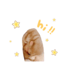 animal stamp ♡（個別スタンプ：6）