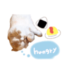 animal stamp ♡（個別スタンプ：12）