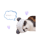animal stamp ♡（個別スタンプ：14）