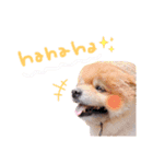 animal stamp ♡（個別スタンプ：15）