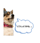 しおんの便利なスタンプ（個別スタンプ：9）