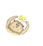 マヌルネコのんびりスタンプ（個別スタンプ：1）