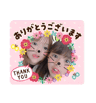 ひめあま（個別スタンプ：5）
