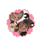 ひめあま（個別スタンプ：19）