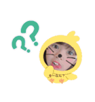 ひめあま（個別スタンプ：24）