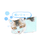 ラッテの休日（個別スタンプ：1）