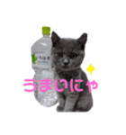 まりお2（個別スタンプ：3）