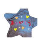 kotaris（個別スタンプ：7）