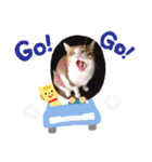 あもくんスタンプ♡3（個別スタンプ：2）