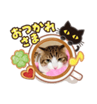 あもくんスタンプ♡3（個別スタンプ：10）