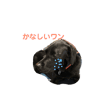 メイ3（個別スタンプ：2）