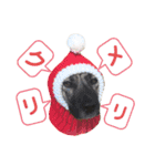 ペティです その2（個別スタンプ：8）