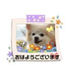 maron 771M（個別スタンプ：2）