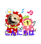 maron 771M（個別スタンプ：3）