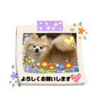 maron 771M（個別スタンプ：7）