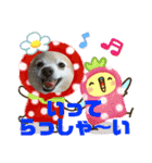maron 771M（個別スタンプ：9）