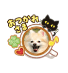 maron 771M（個別スタンプ：10）