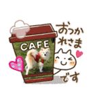 maron 771M（個別スタンプ：11）